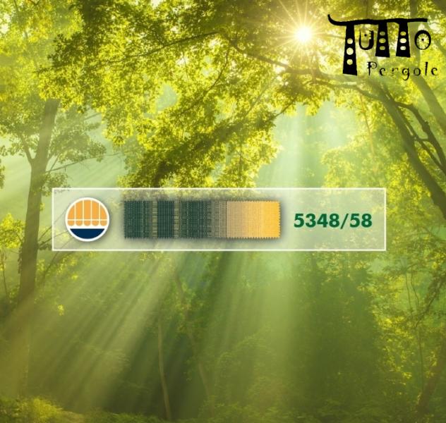 VERDE SILENZIOSO